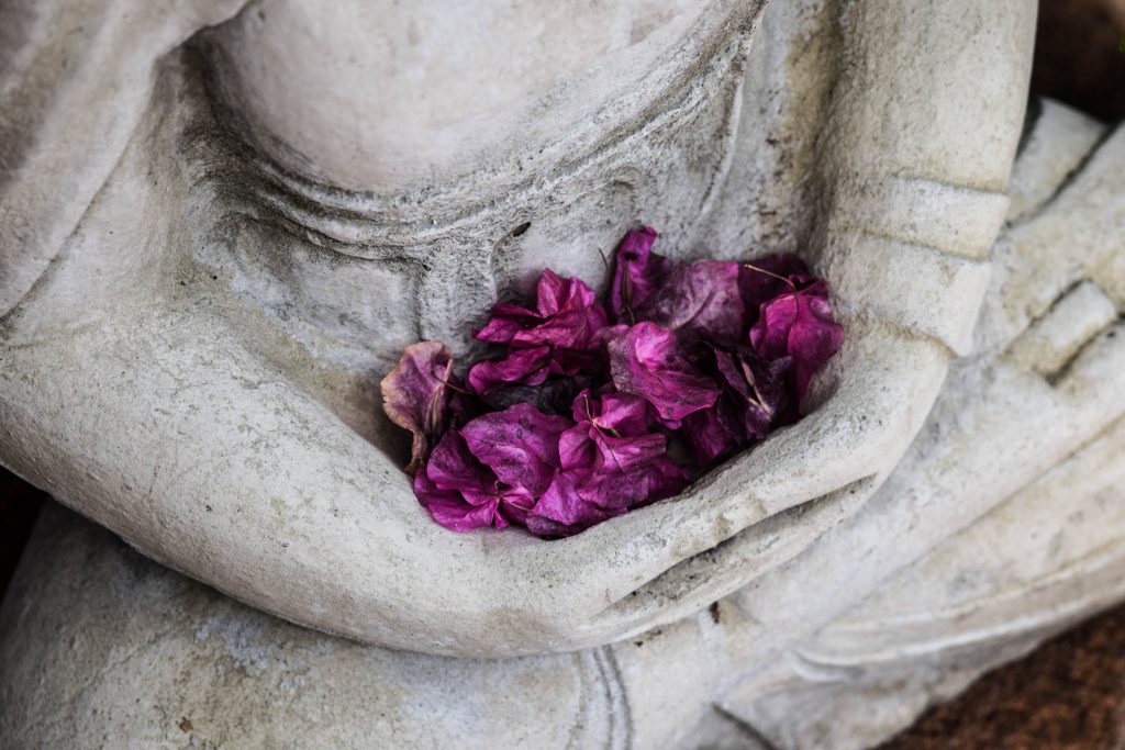 Avances con la terapia gestalt Bilbao psicología descubrirte manos mudra budista sosteniendo flores violetas
